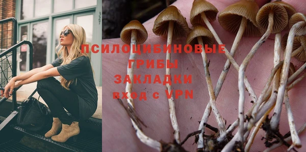 синтетический гашиш Карпинск