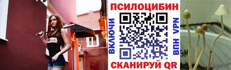 Псилоцибиновые грибы GOLDEN TEACHER  Купить закладки  Аша 